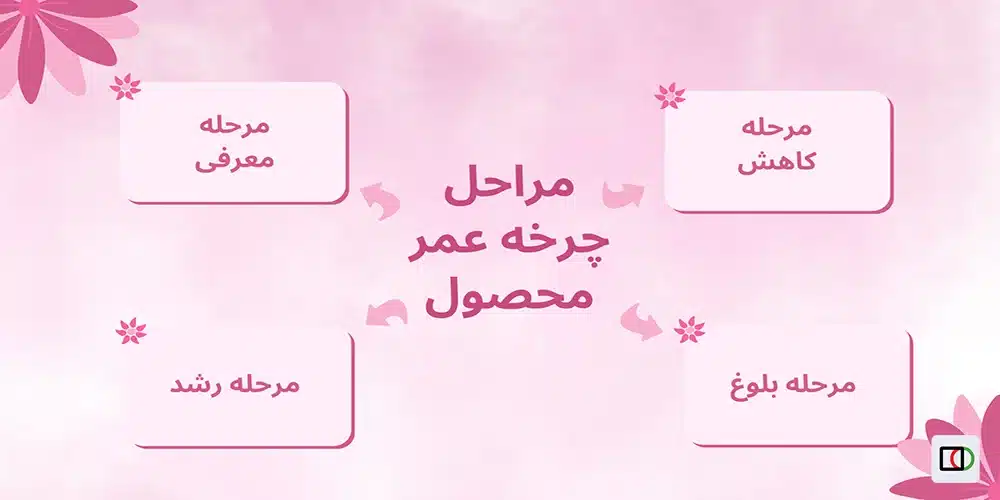 مراحل چرخه عمر محصول